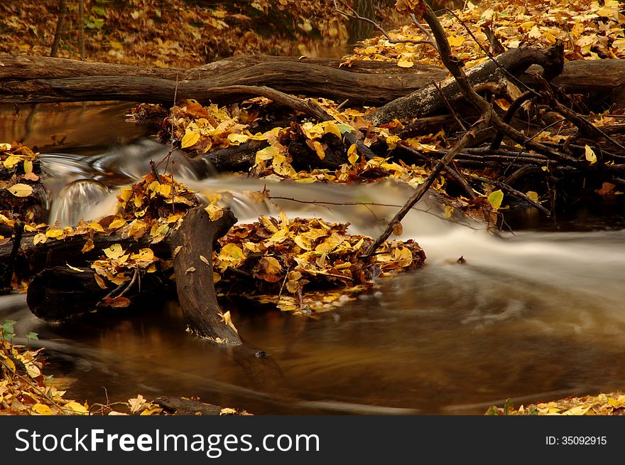 The photograph shows a small stream flowing through deciduous forest. In the picture we see the congestion created with branches and fallen leaves through which water is poured foam swift current. The photograph shows a small stream flowing through deciduous forest. In the picture we see the congestion created with branches and fallen leaves through which water is poured foam swift current.