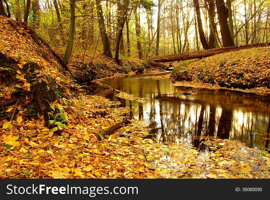 The photograph shows strymyk flowing through deciduous forest. It is autumn, the ground is covered with a thick layer of fallen leaves. The photograph shows strymyk flowing through deciduous forest. It is autumn, the ground is covered with a thick layer of fallen leaves.