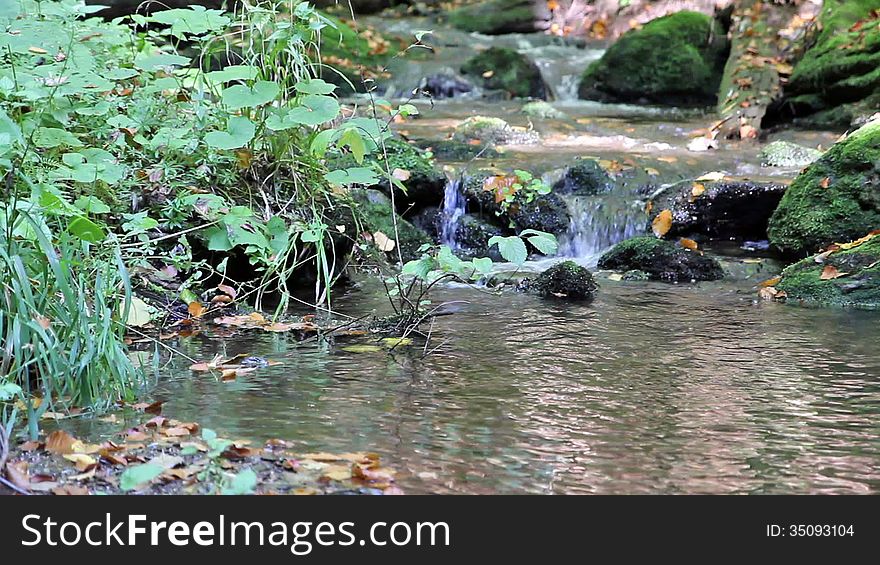 Peaceful flowing stream in the autumn forest (Czech Republic)