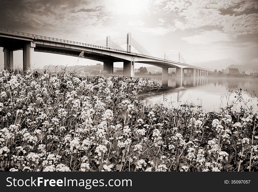 Suspension bridge over the Liujiang river, the foreground is flowers in full bloom,Guangxi province,China. Suspension bridge over the Liujiang river, the foreground is flowers in full bloom,Guangxi province,China