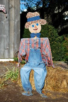 Scarecrow Sitting Royalty Free Stock Images Scarecrow Sitting Royalty Free Stock Images