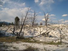 Mammoth Hot Springs Royalty Free Stock Images Mammoth Hot Springs Royalty Free Stock Images