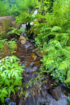 Waterfall In The Forest Royalty Free Stock Photo Waterfall In The Forest Royalty Free Stock Photo