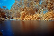 Infrared Photo – Tree And Lake Stock Images Infrared Photo – Tree And Lake Stock Images