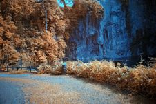 Infrared Photo – Tree And Lake Stock Images Infrared Photo – Tree And Lake Stock Images