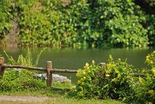 Pond, Water And Wild Flower Stock Photos