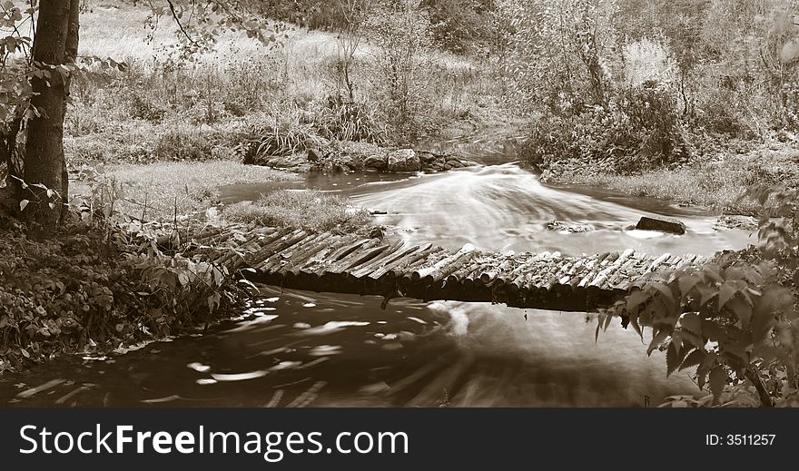 An image of a footbridge in autumn forest