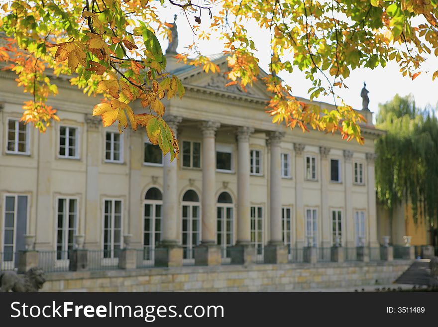 Colorful autumn garden, red and yellow leaves on sunny day