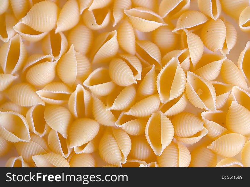 Cockleshell spagetti background ot texture
