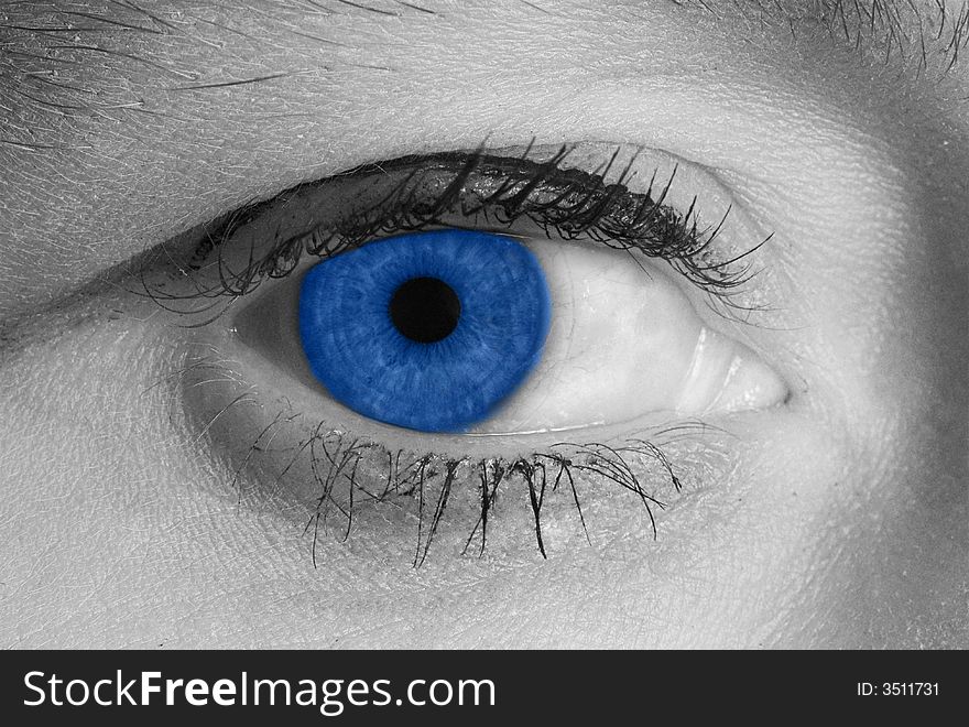 Beautiful  blue women eye black and white photo. Beautiful  blue women eye black and white photo