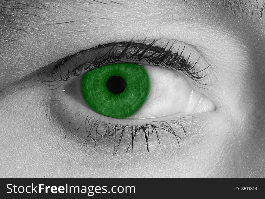 Beautiful  green women eye black and white photo. Beautiful  green women eye black and white photo