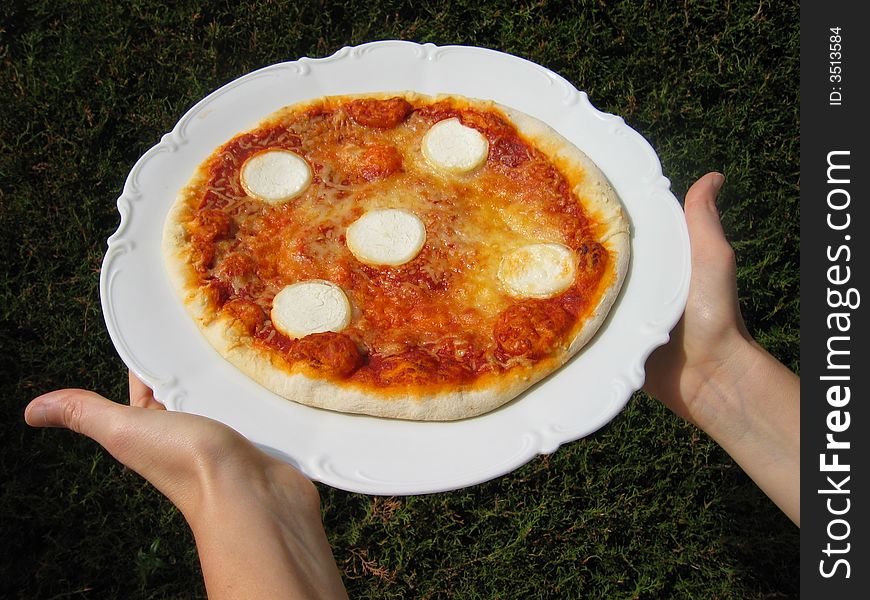 A delicious cheese and tomato pizza. A delicious cheese and tomato pizza