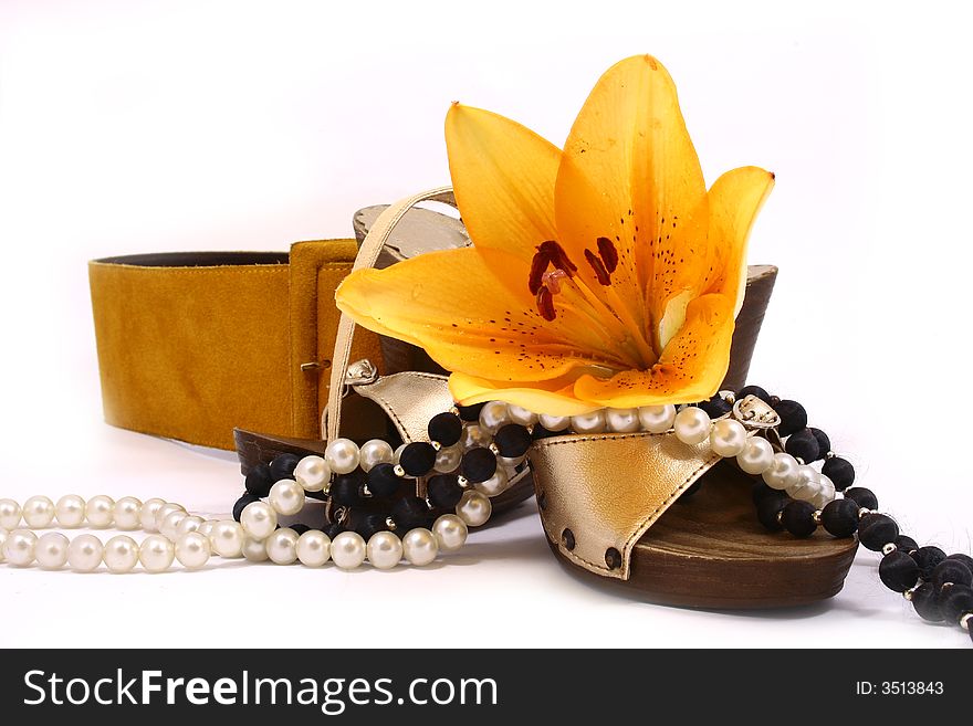 Belt with gold shoes isolated on a white background