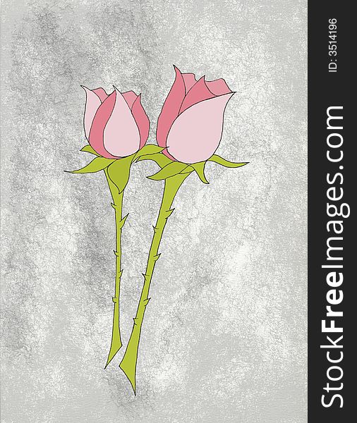 Two pink roses with thorny stems on gray background