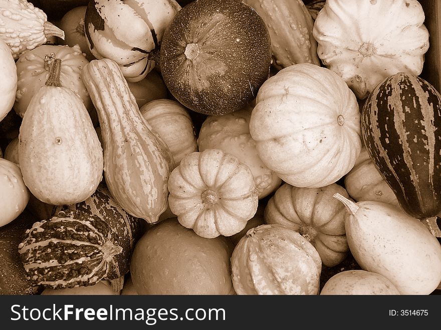 Various shapes of pumpkins in a basket. Various shapes of pumpkins in a basket