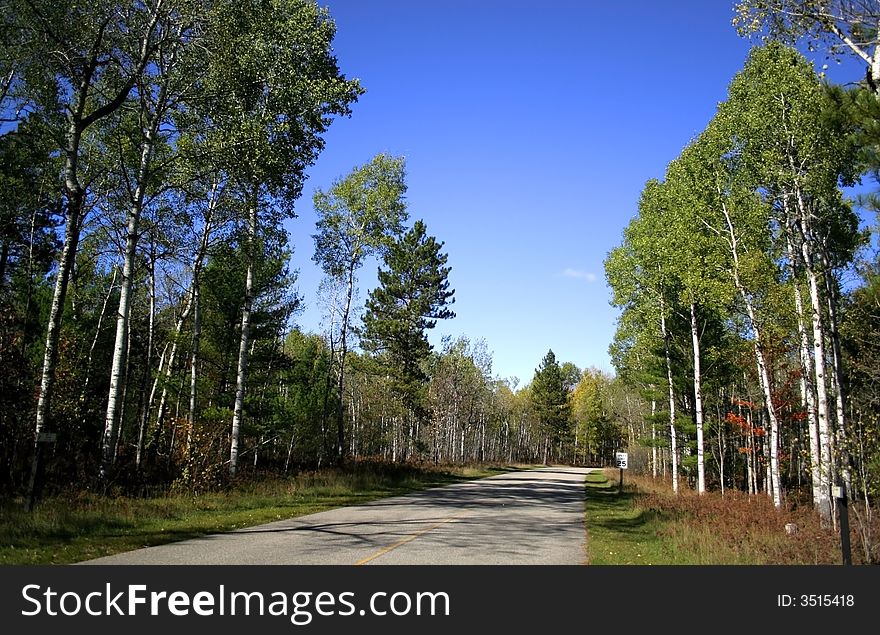 Clean high way through woods in up north Michigan