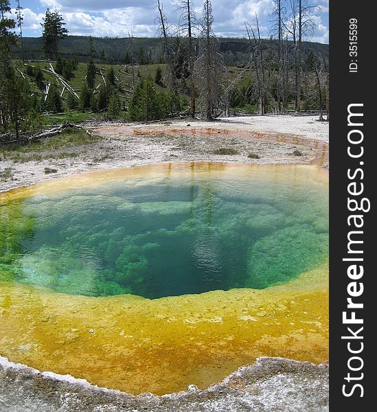 Morning Glory Pool is located in Yellowstone National Park.