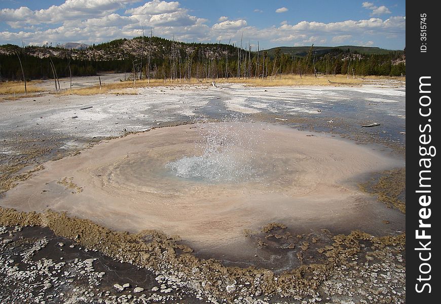 Vixen Geyser is located in Yellowstone National Park.