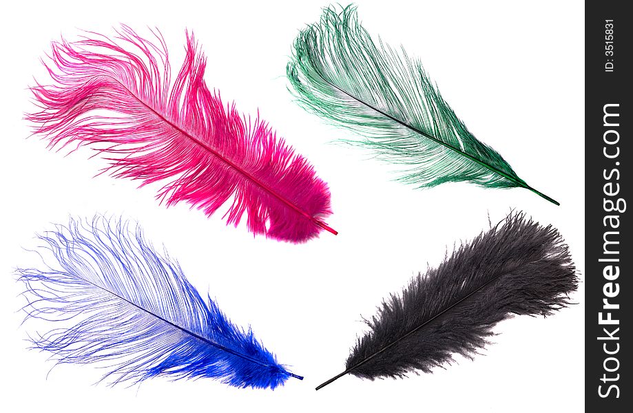 Color Feathers