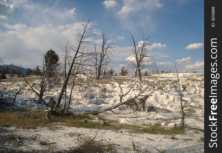 Mammoth Hot Springs is located in Yellowstone National Park.