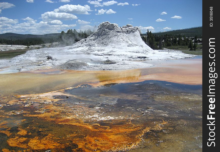 The Picture of Castle Geyser was taken in Yellowstone National Park.