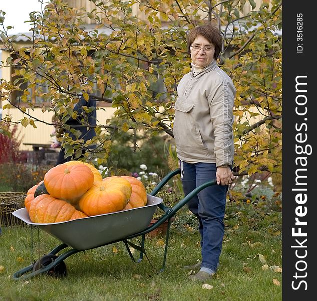 Autumn in the garden, woman in grey jacket and jeans wheel a barrow full of pumpkins. She look to a viewer and smile. There is an apple-tree and a house on background. Autumn in the garden, woman in grey jacket and jeans wheel a barrow full of pumpkins. She look to a viewer and smile. There is an apple-tree and a house on background.