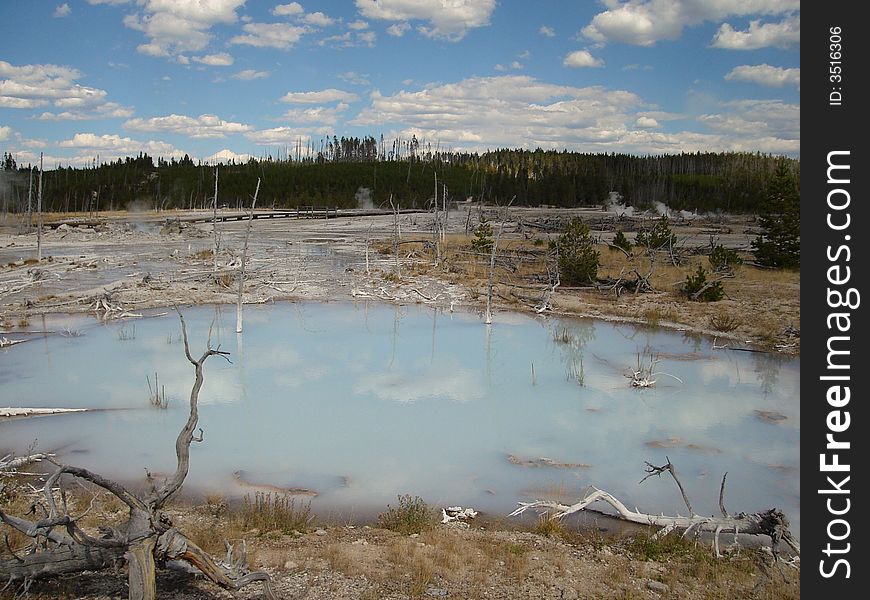 Norris Geyser Basin - Back Basin in Yellowstone National Park.