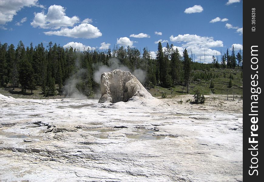 The Picture of Oblong Geyser was taken in Yellowstone National Park.