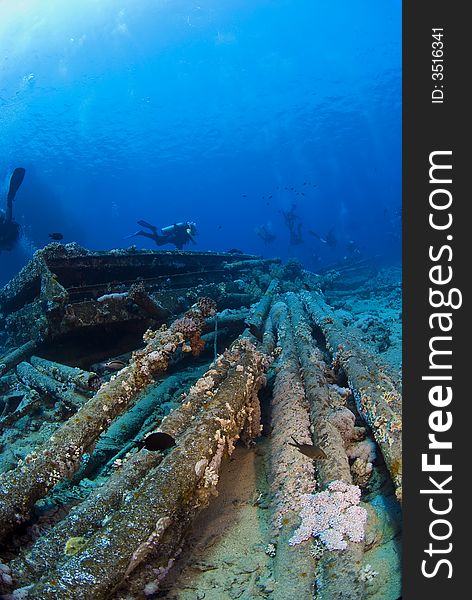 Diver swimming over a ship wreck. Diver swimming over a ship wreck