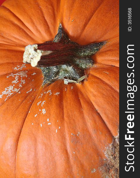 Top of a large, orange pumpkin. Top of a large, orange pumpkin.