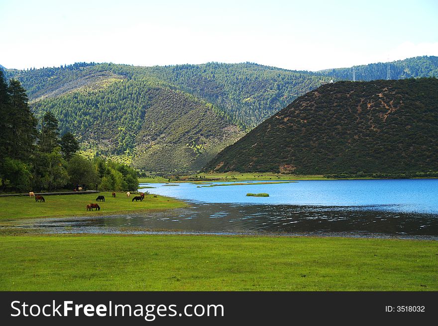 Lake mountain and grassland in DiQing Tibetan Autonomous Prefecture, China. Lake mountain and grassland in DiQing Tibetan Autonomous Prefecture, China