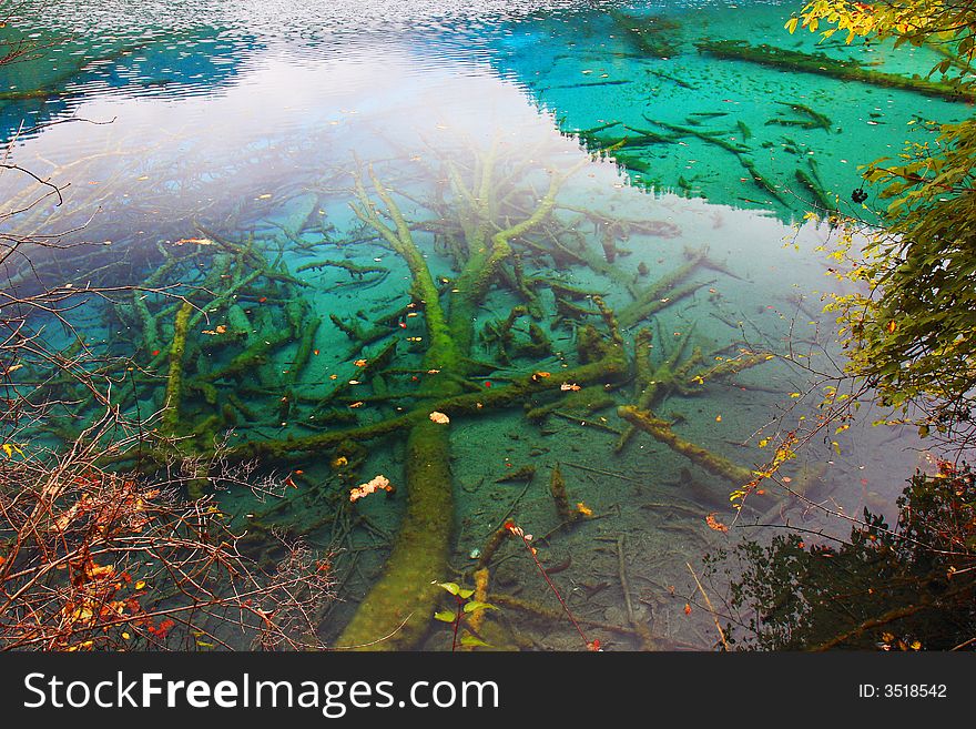 Beautiful lake with faded tree in it, the limpidity water show you the whole faded tree. Beautiful lake with faded tree in it, the limpidity water show you the whole faded tree.