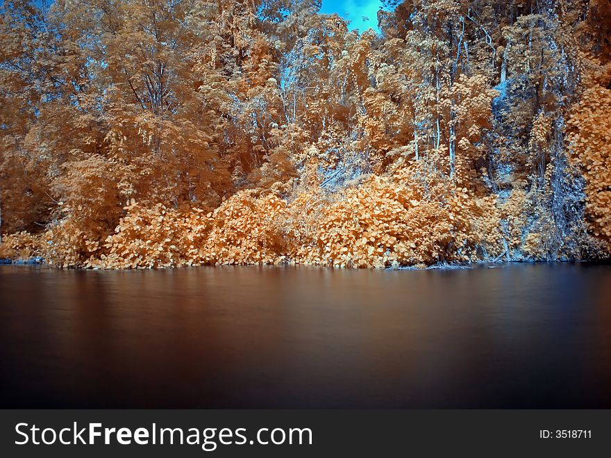 Infrared Photo â€“ Tree And Lake