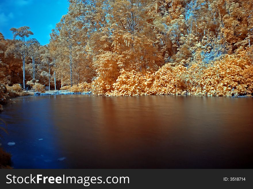 Infrared photo – tree and lake in the parks