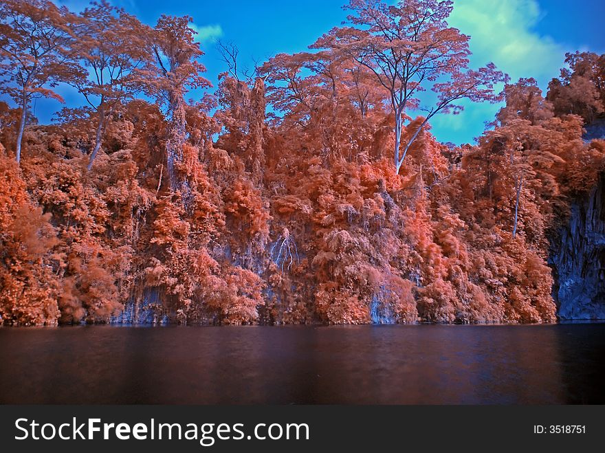 Infrared photo â€“ tree and lake in the parks