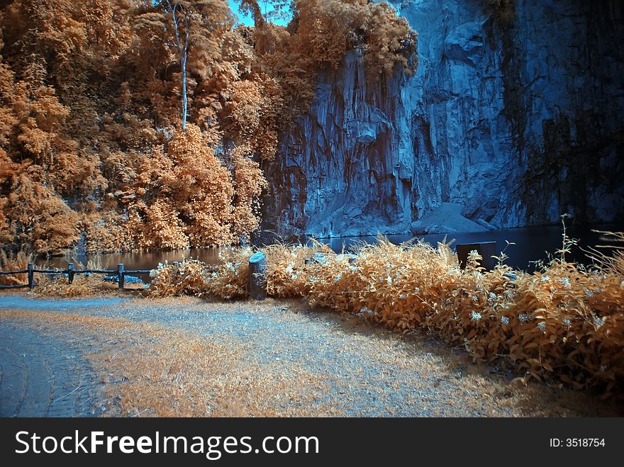 Infrared photo â€“ tree and lake in the parks