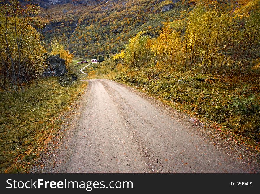 Path in the forest during autumn season