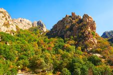 The Autumn Forest And Peak Of Zu Mountain Royalty Free Stock Images The Autumn Forest And Peak Of Zu Mountain Royalty Free Stock Images