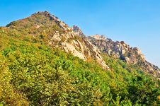 The Autumn Forest Of Zu Mountain Stock Photo The Autumn Forest Of Zu Mountain Stock Photo