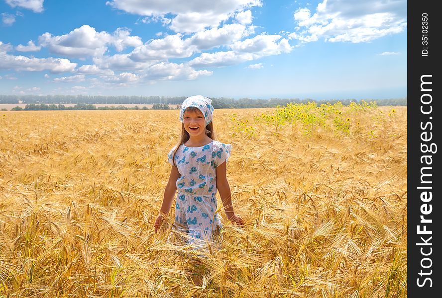 Beautiful little girl in a meadow