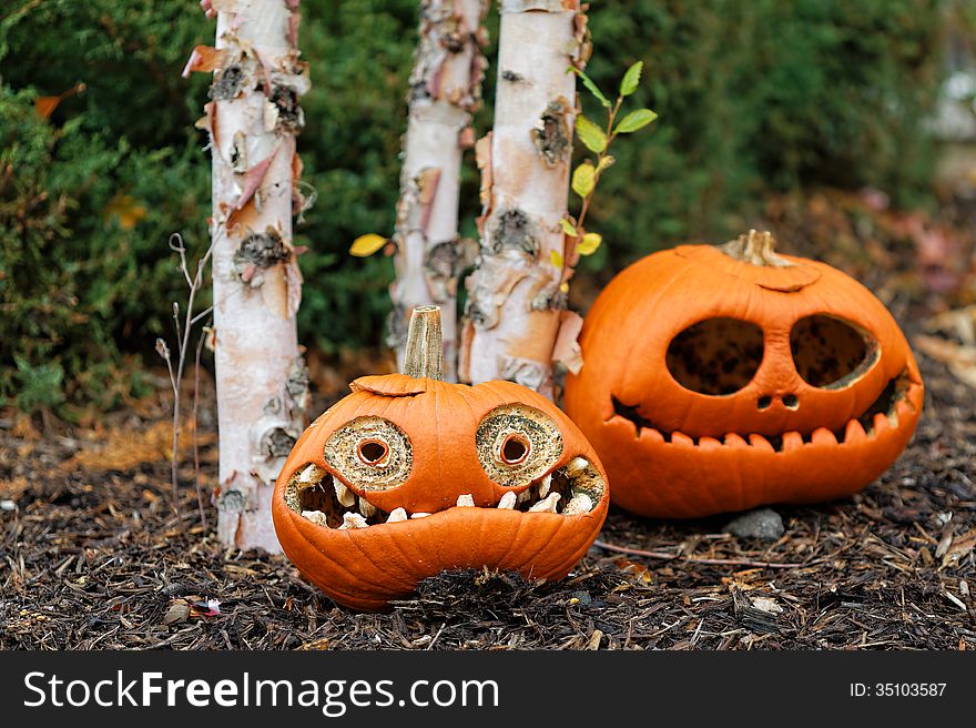 Sad halloween pumpkin head after the holiday