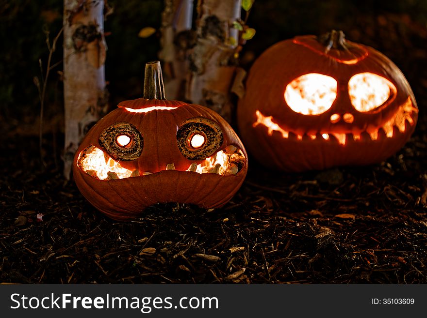 Sad halloween pumpkin head after the holiday