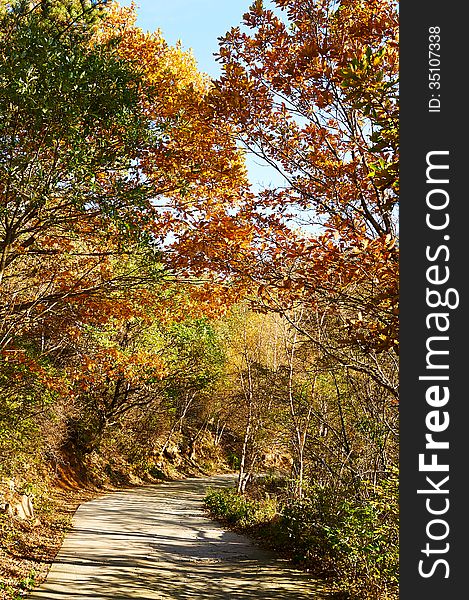 The photo taken in China's Hebei province qinhuangdao city,Zu mountain scenic spot.The time is October 3, 2013. The photo taken in China's Hebei province qinhuangdao city,Zu mountain scenic spot.The time is October 3, 2013.