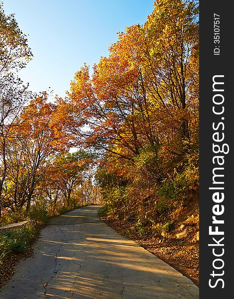 The Red Leaves And Path Sunset Of Zu Mountain