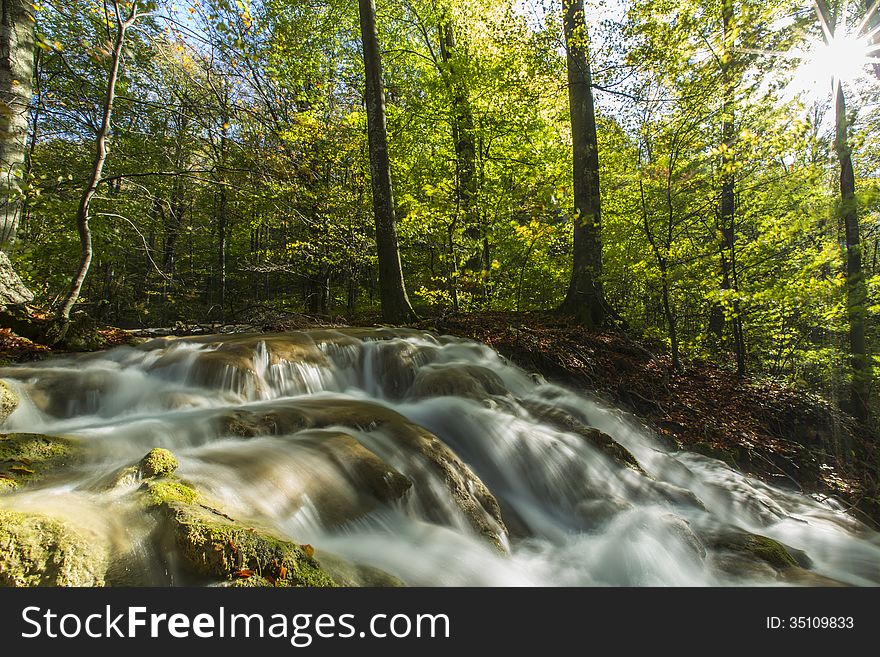 Beautiful autumn foliage and mountain stream in the forest