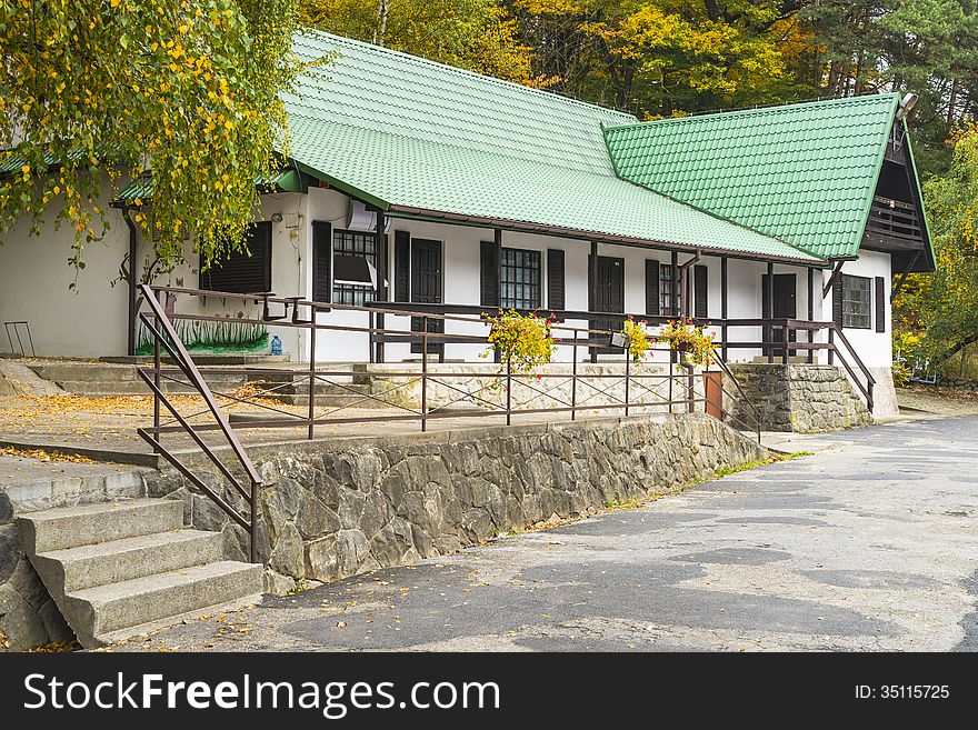 Building In The Forest