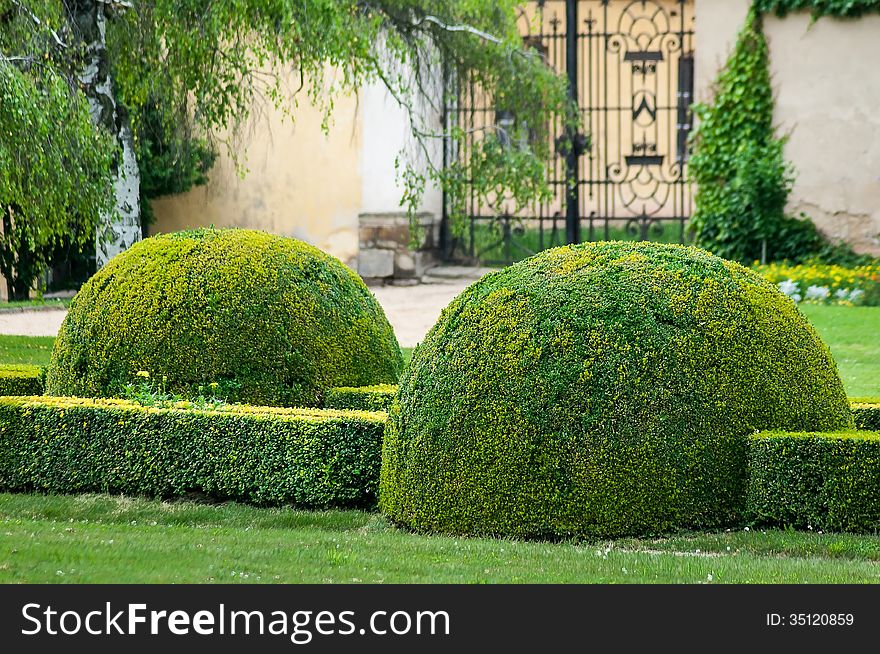 Green bush in castle garden