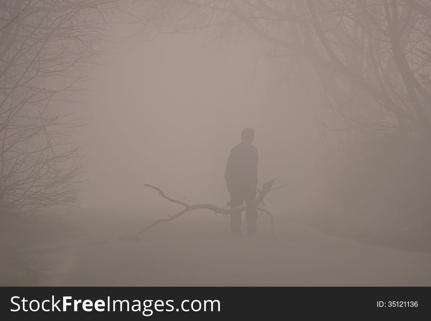 The man pulling the branch vanishing in fog