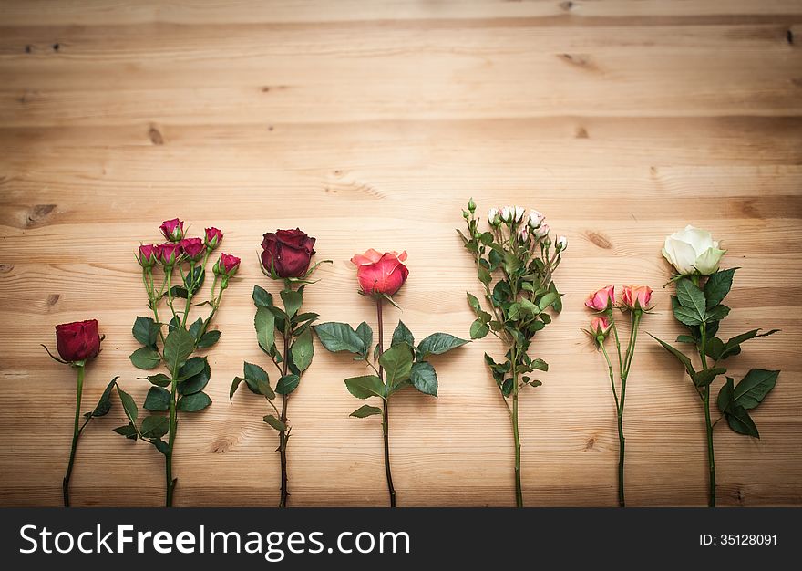Different  Roses On Wooden Background