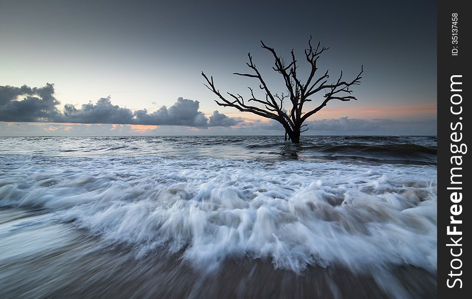 High Tide Rushing towards shore at Botany Bay Beach on Edisto Island. A Skeleton tree sits isoliated in the ocean as a reminder of where land once occupied the area. High Tide Rushing towards shore at Botany Bay Beach on Edisto Island. A Skeleton tree sits isoliated in the ocean as a reminder of where land once occupied the area.